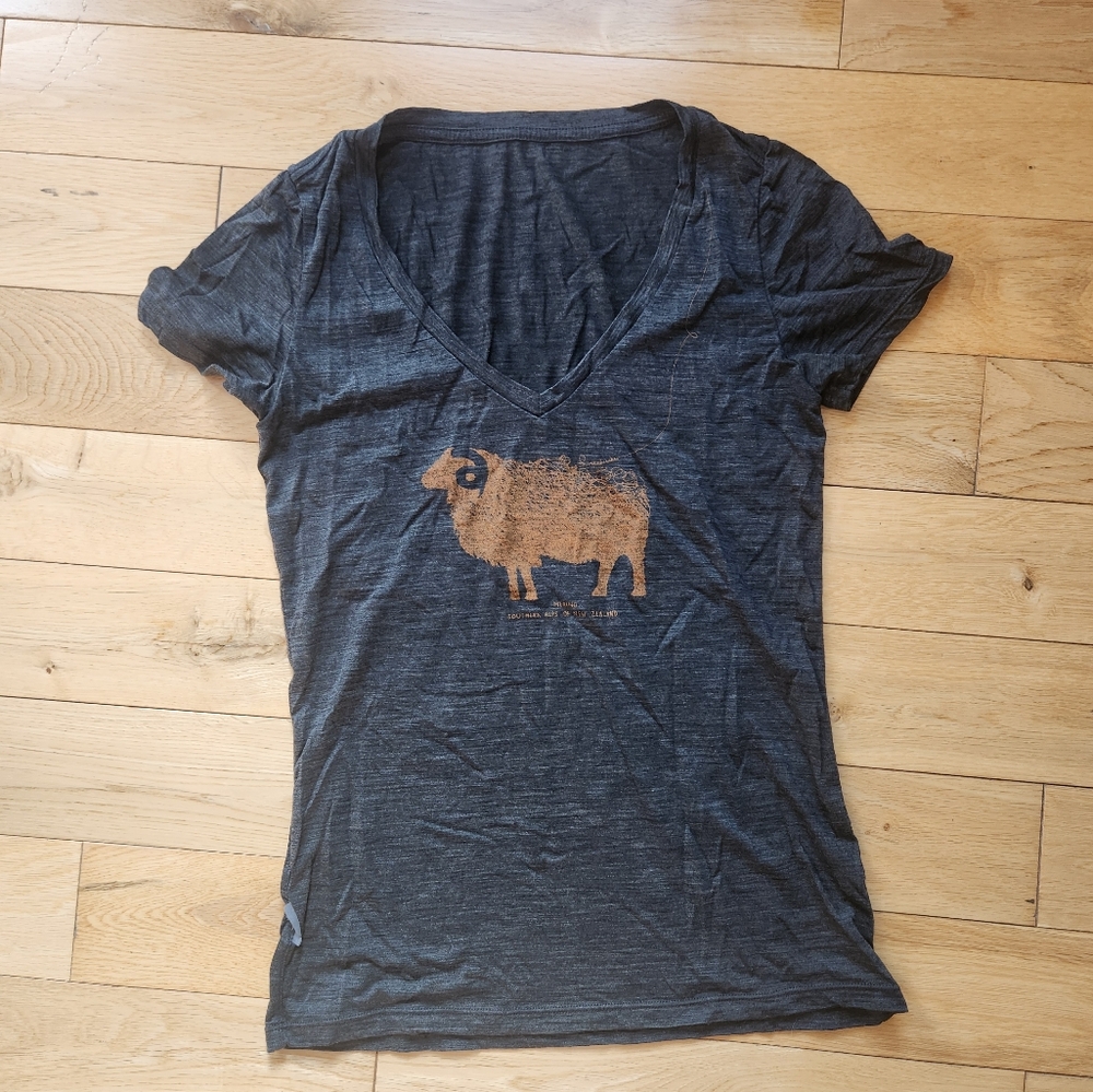Icebreaker V-Neck T-Shirt